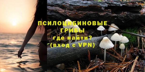амф Алзамай
