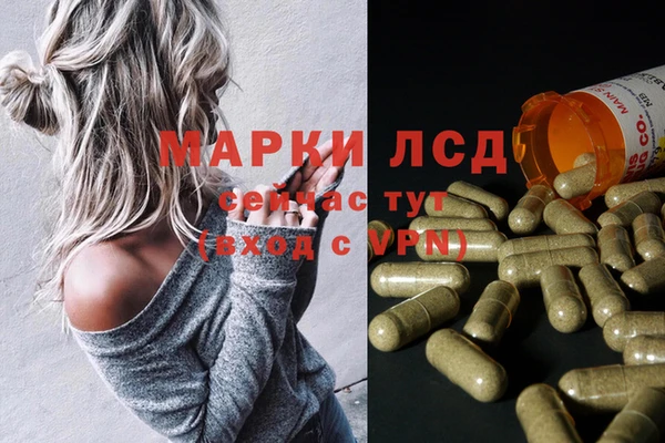 амф Алзамай