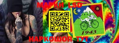 спиды Моздок