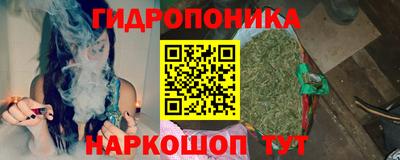 стафф Можга