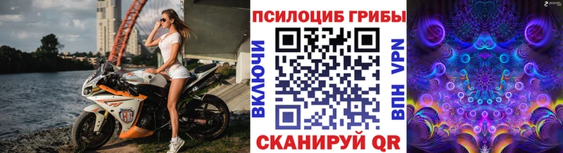 где найти   Владимир  Псилоцибиновые грибы GOLDEN TEACHER 
