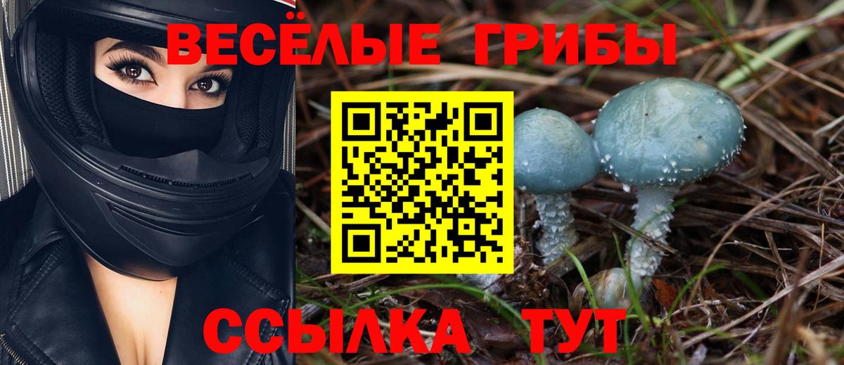 Псилоцибиновые грибы MAGIC MUSHROOMS  купить наркоту  Владимир  Вход с VPN 